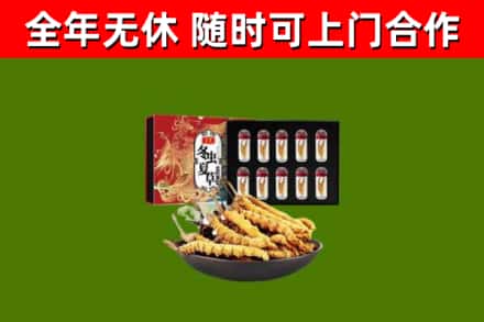 顺昌回收冬虫夏草价格